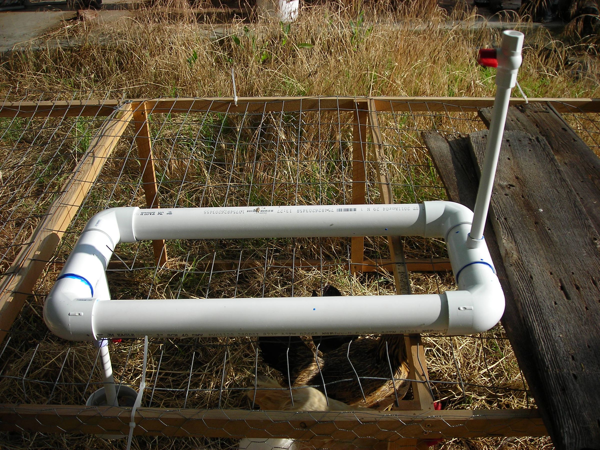 Water Dispenser for Chickens 6 Steps (with Pictures) Instructables