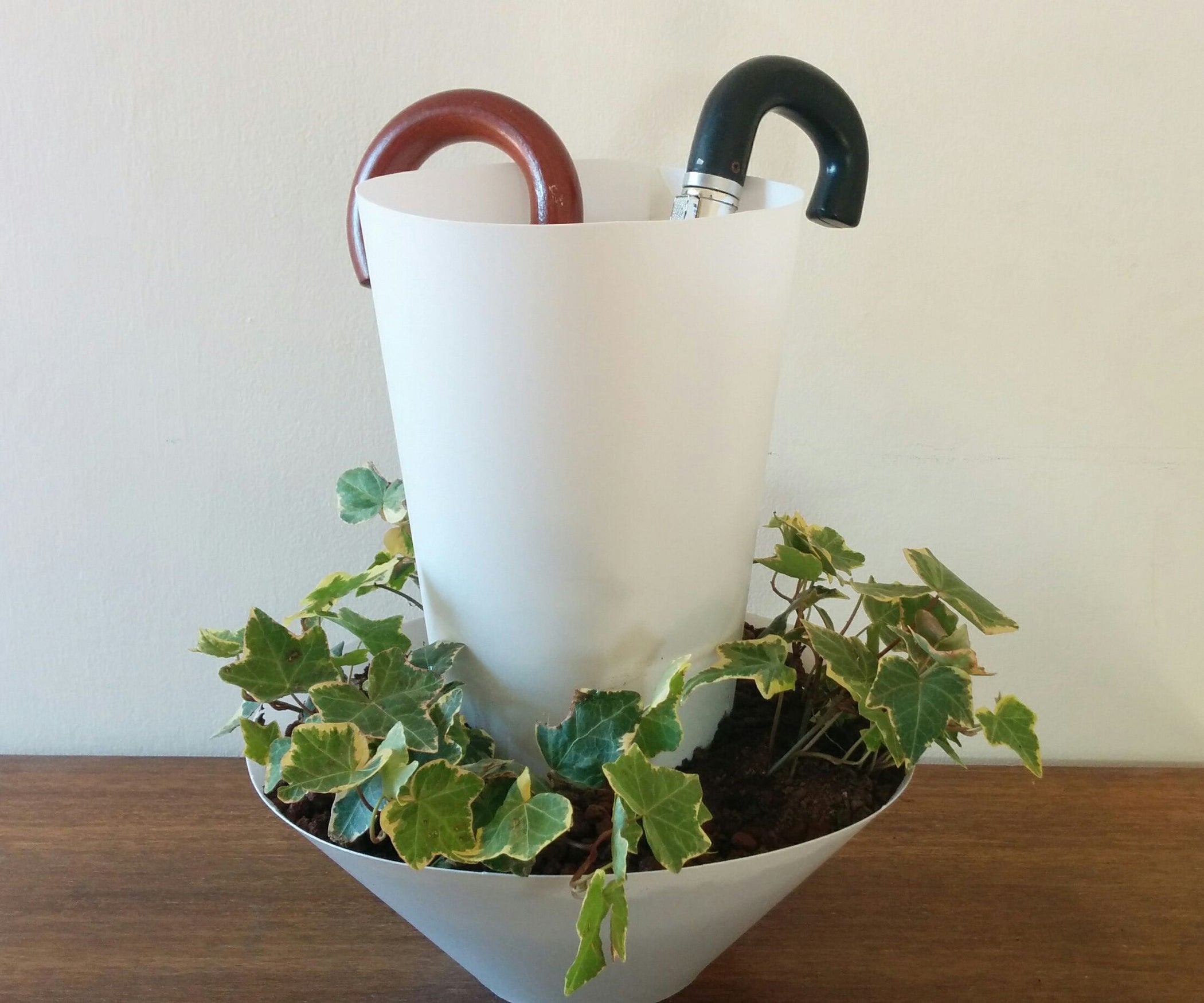 Umbrella Watered Plant 3 Steps (with Pictures) Instructables