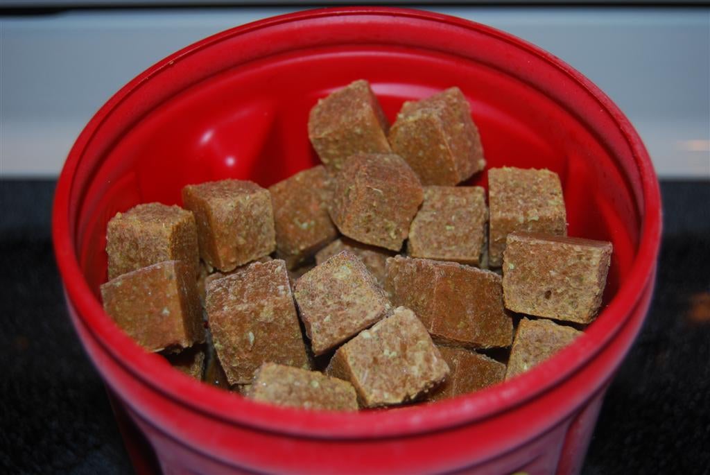 Gel Fish Food 10 Steps (with Pictures) Instructables