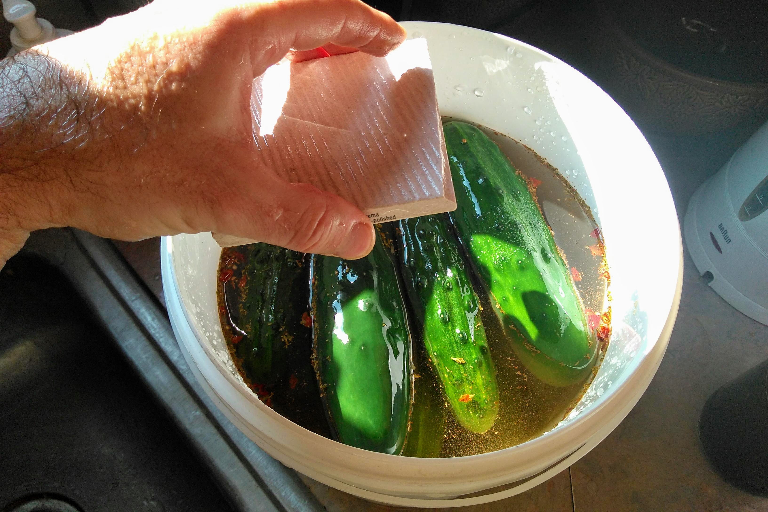 Bucket Pickles 5 Steps (with Pictures) Instructables