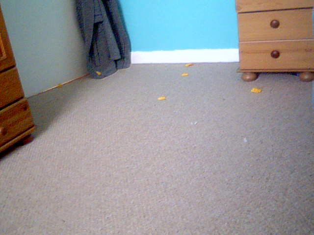 6 piece, easy, knex grenade DIY Project DIY Project Image