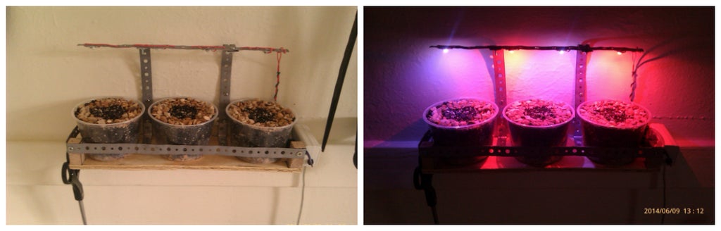 Simple Indoor Herb Garden With Adjustable Grow Light : 5 Steps (with