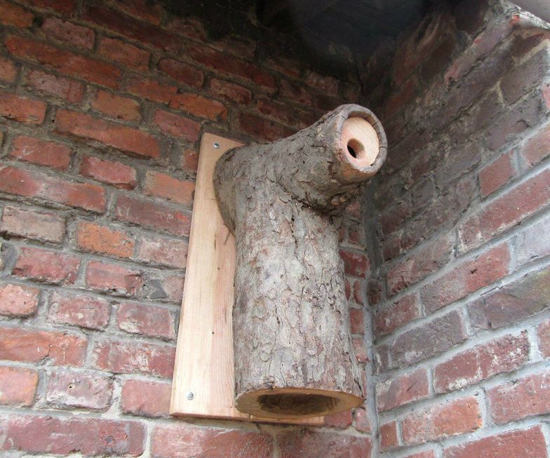 zero effort birdboxes DIY Project DIY Project Image