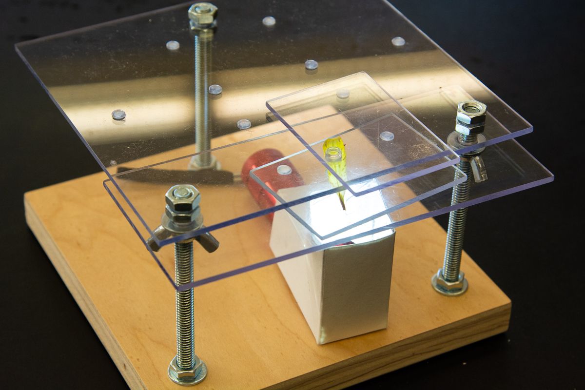 $10 Smartphone to Digital Microscope Conversion!