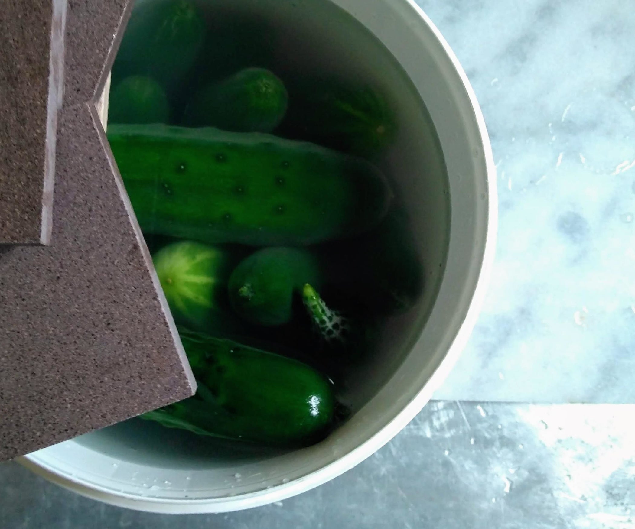 Bucket Pickles 5 Steps (with Pictures) Instructables