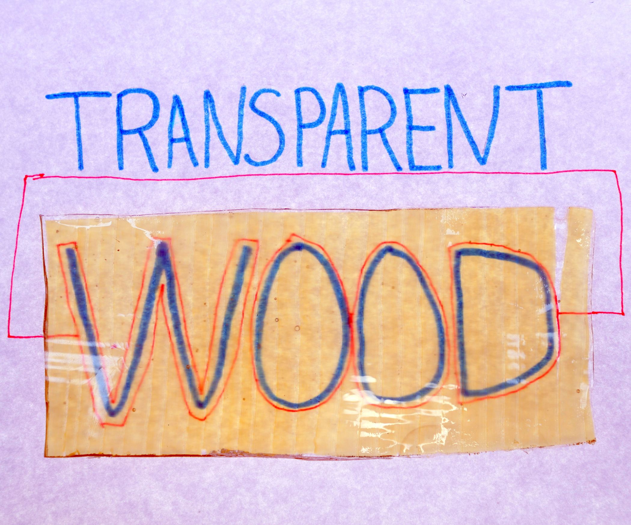 Transparent Wood : 10 Steps (with Pictures) - Instructables