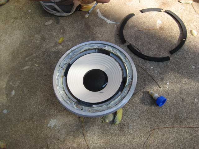 Replace Dry Rotted Speaker Surrounds 