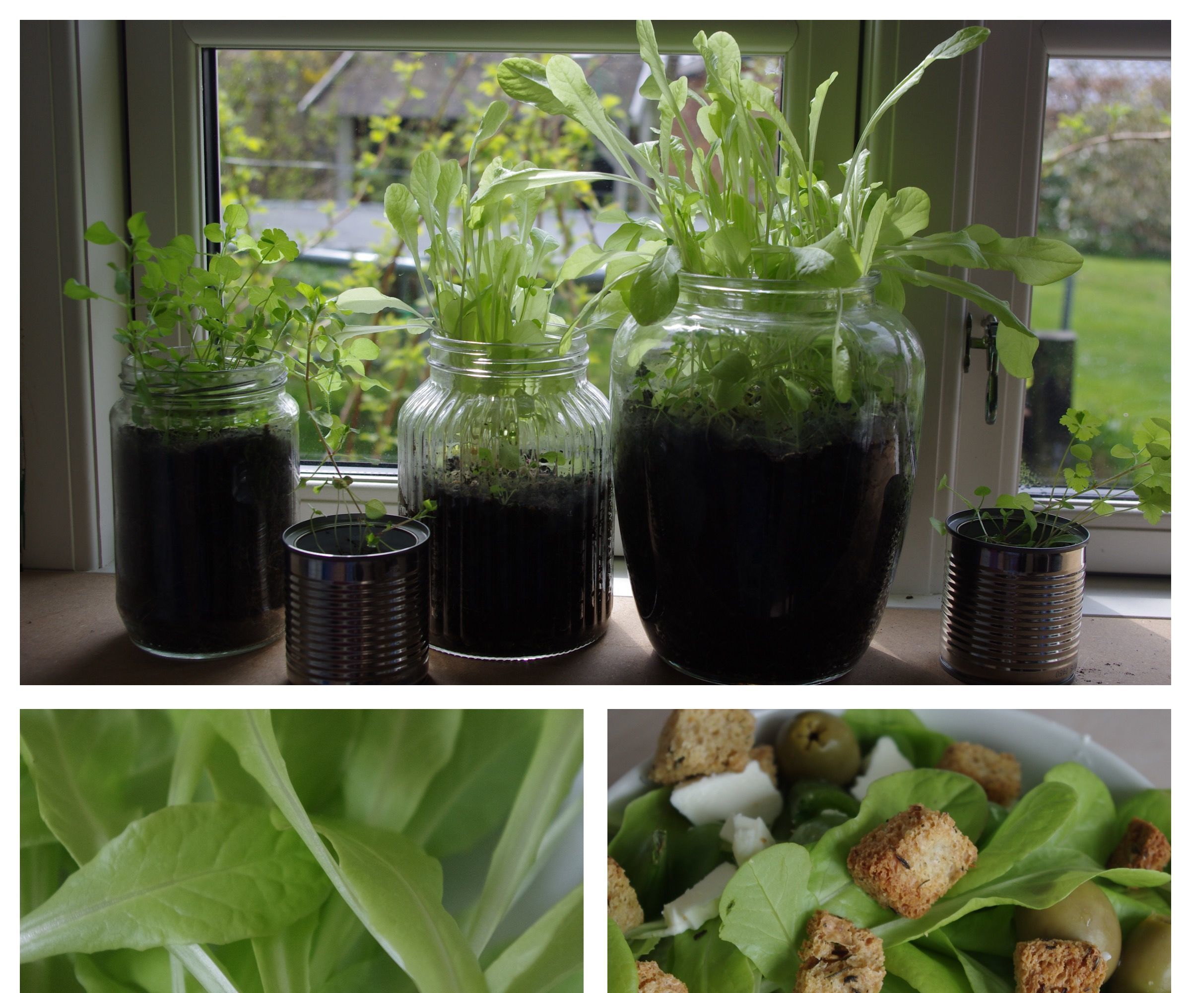 A Very Homemade Salad 