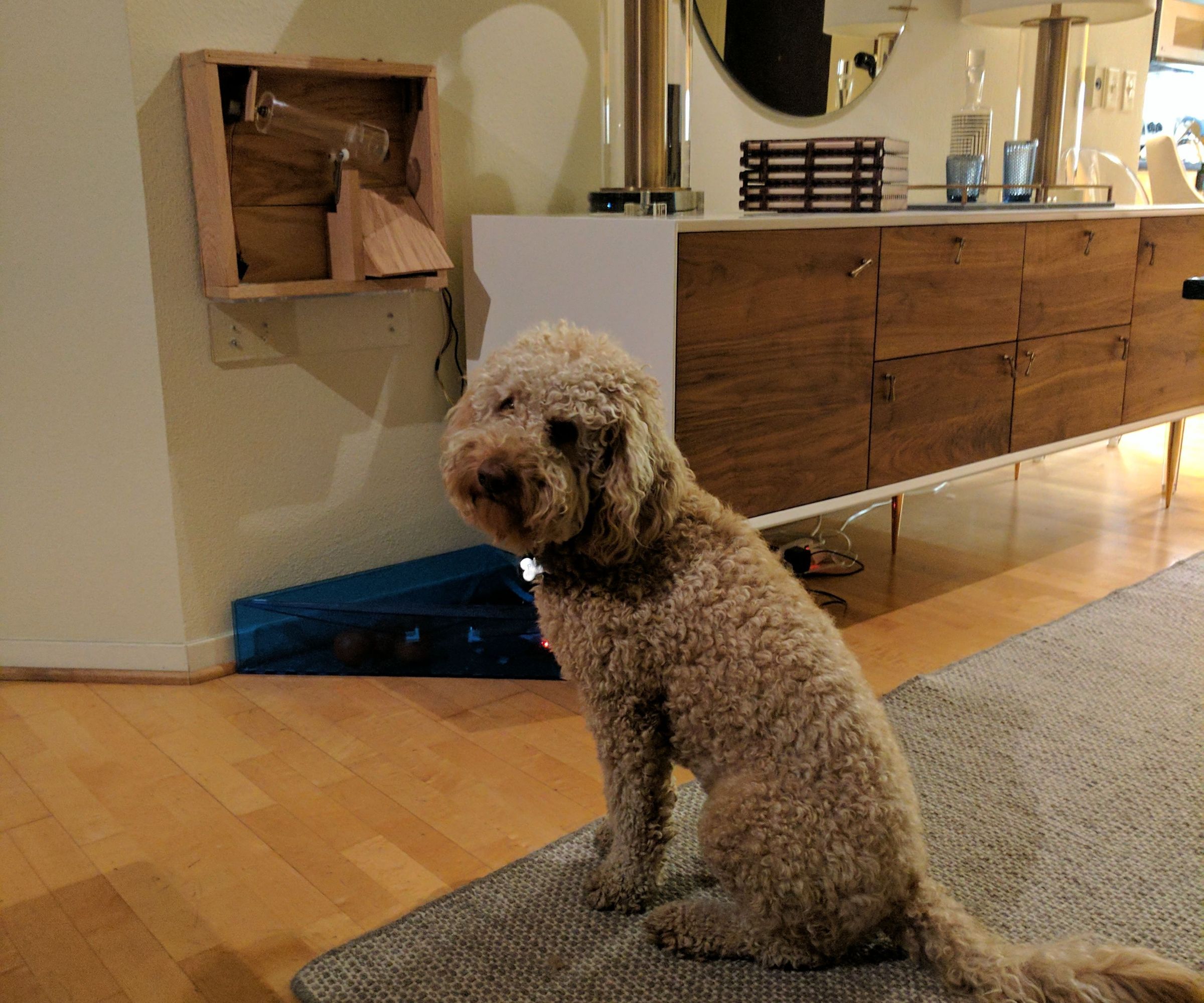 instructables dog ball launcher