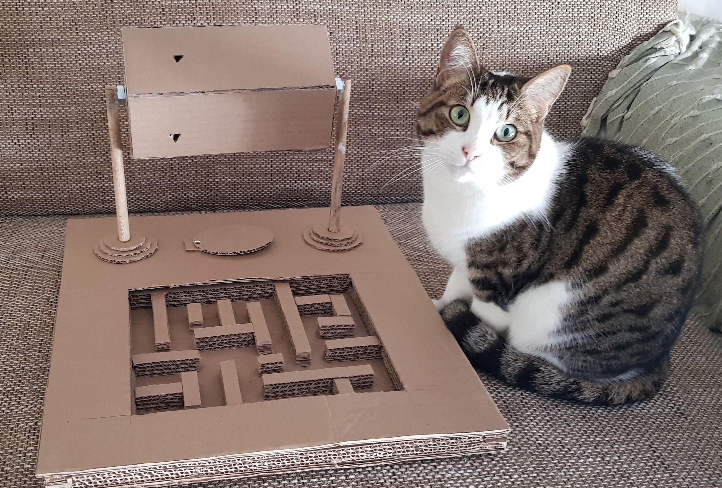 DIY Puzzle for Cats 13 Steps (with Pictures) Instructables