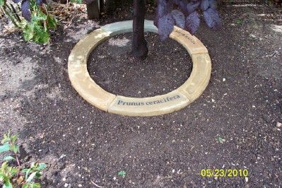 How to Make Concrete Tree Rings : 12 Steps (with Pictures) - Instructables