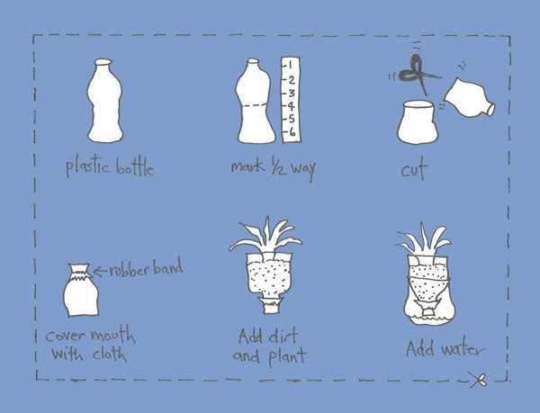 Plastic Bottle Owl Planter Plastic Bottle Planter Diy Plastic Bottle Reuse Plastic Bottles