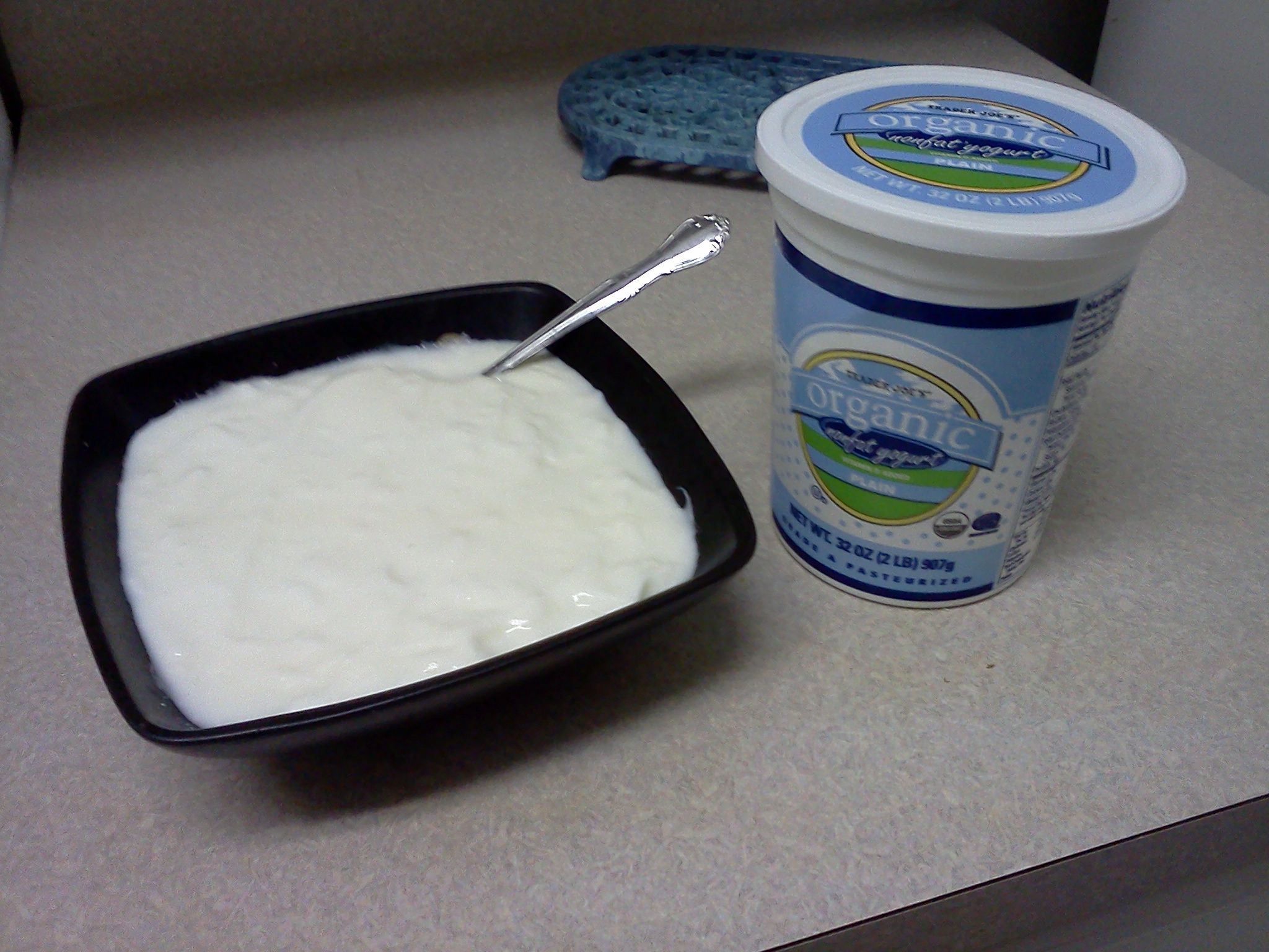 Turn Cheap U.S. Store-Bought Yogurt Into "Indian Yogurt" (a.k.a. "Dahi" or "Curd")