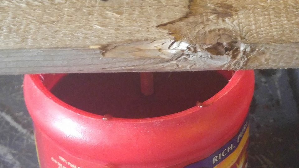 Molasses Deer Lick Instructables