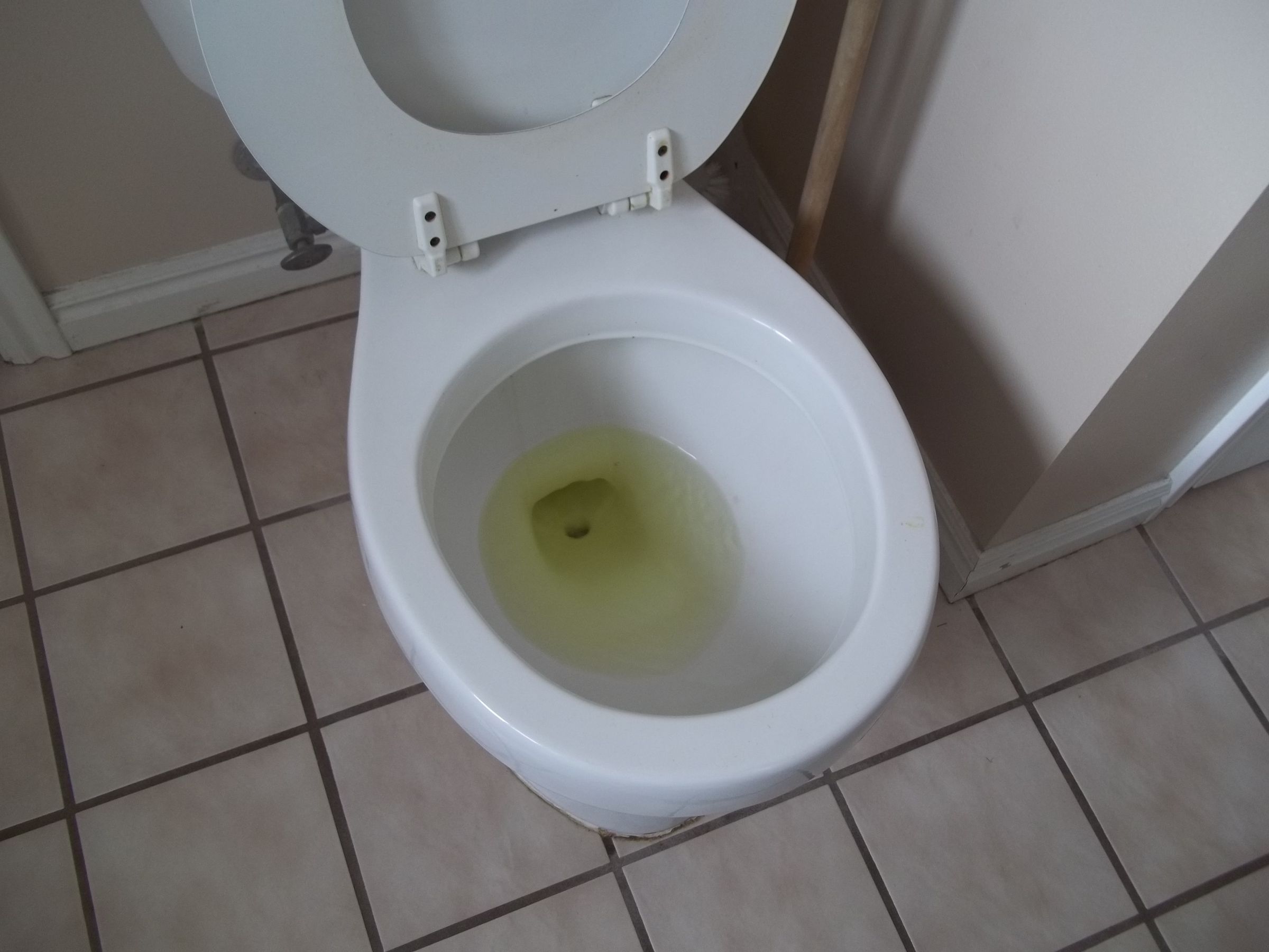 The Best Toilet Prank Ever! 4 Steps Instructables