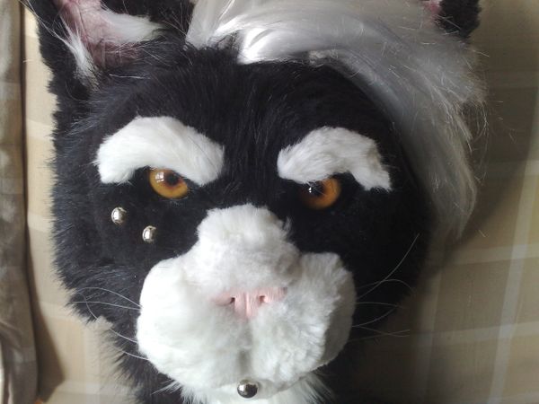 Mascot Costumes Instructables