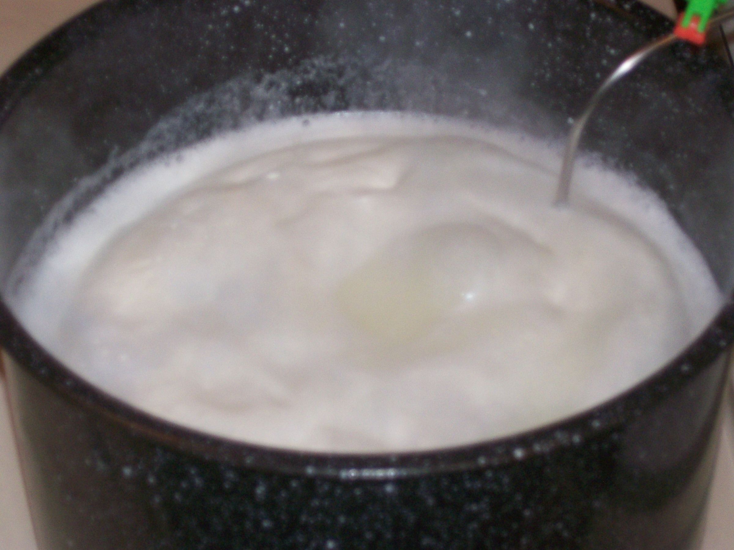 How to Make Great Ricotta Cheese From Whey 4 Steps (with Pictures
