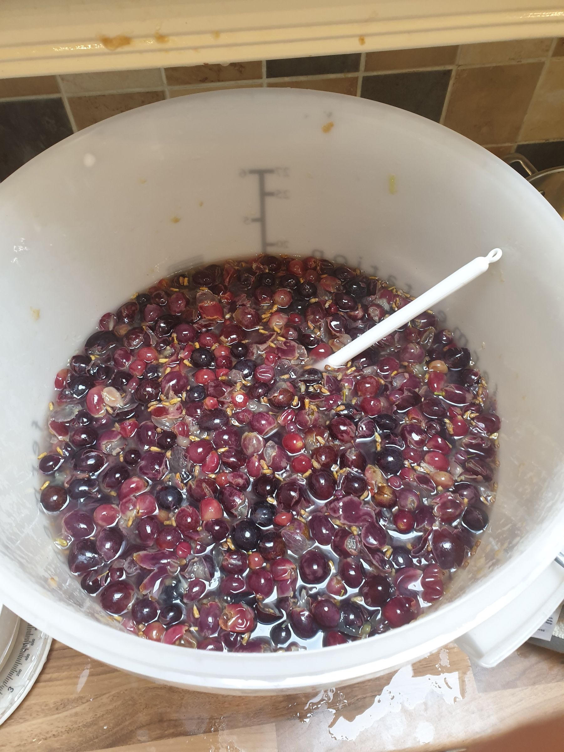 How to Make Your Own Wine From Grapes at Home 20 Steps (with Pictures