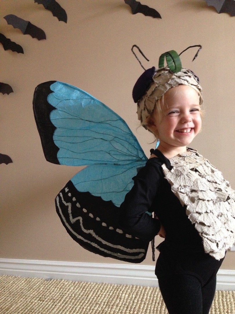 The {Paper} Butterfly Costume : 5 Steps (with Pictures ...