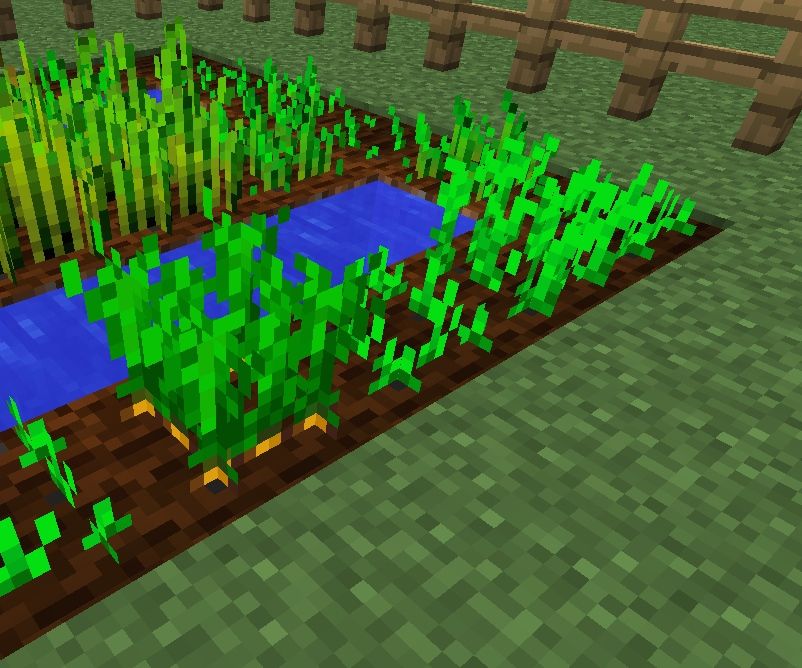 Farming In Minecraft 10 Steps With Pictures Instructables