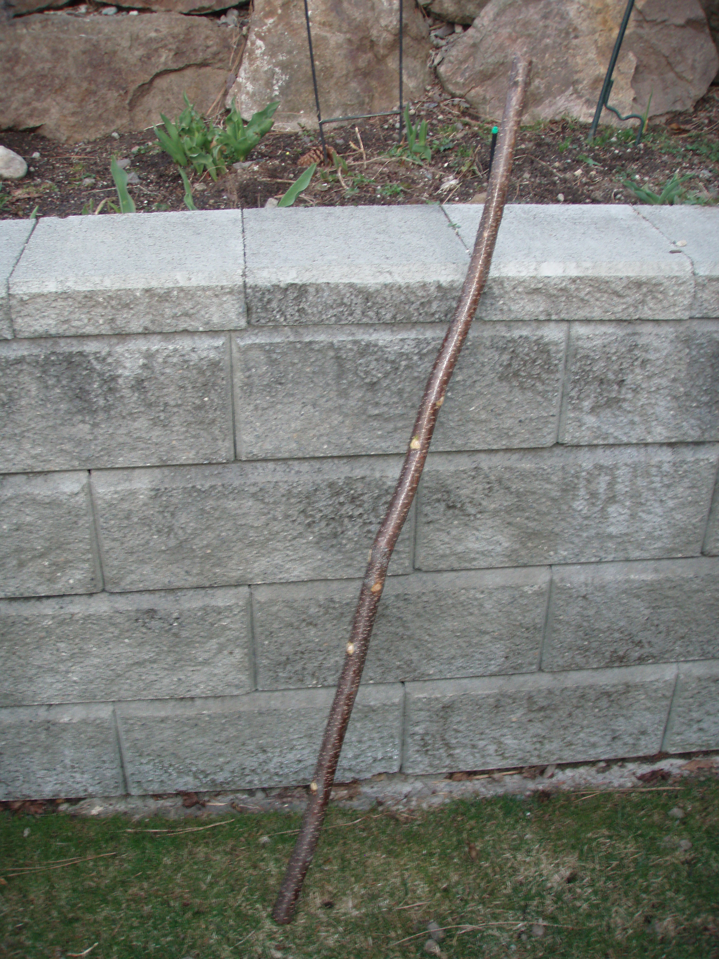 a stick