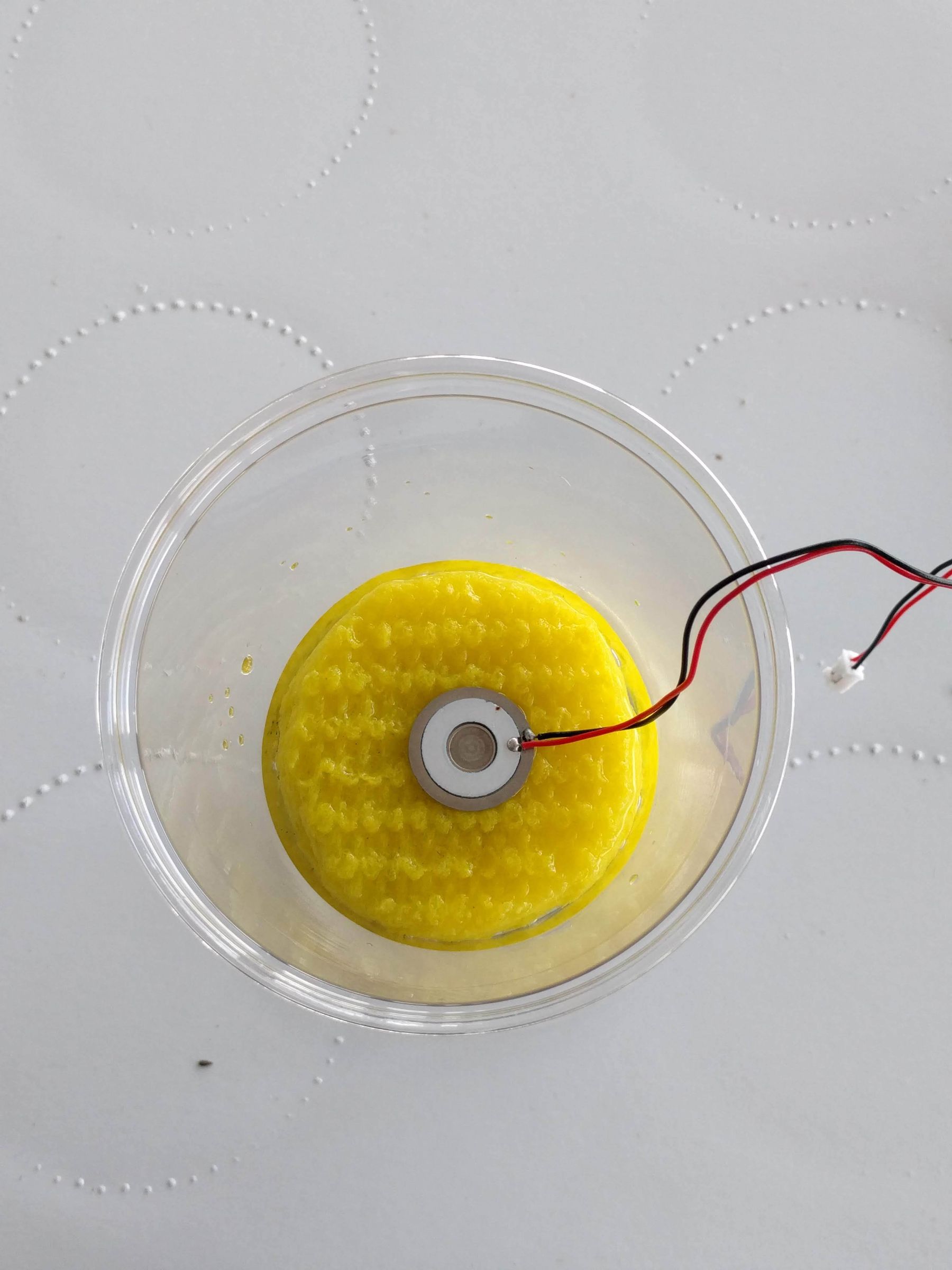 The Most Awesome Space Botany Instructables Ever Issue 01 Amazing