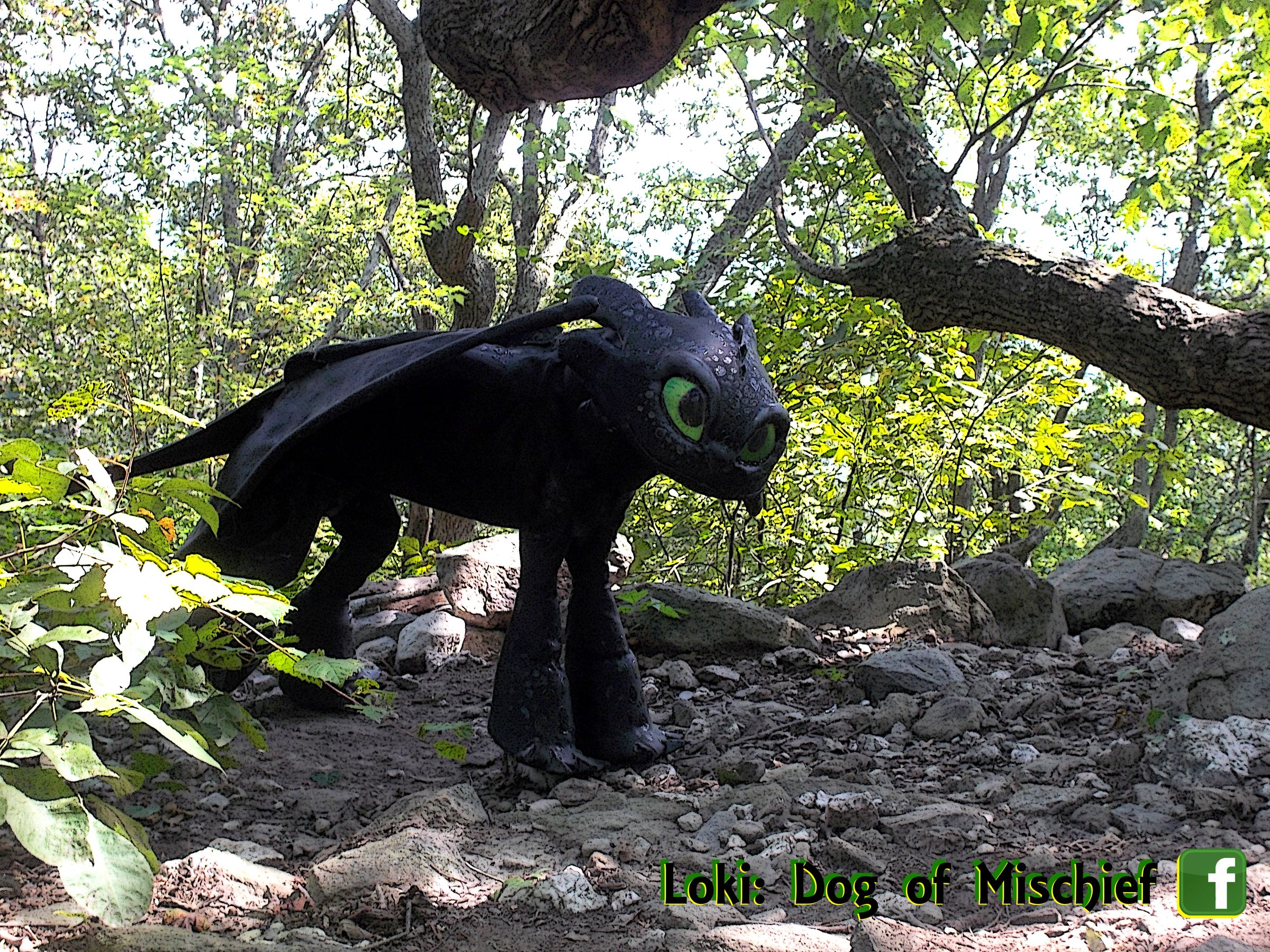 Toothless Costume (for Dogs!) 6 Steps (with Pictures) Instructables
