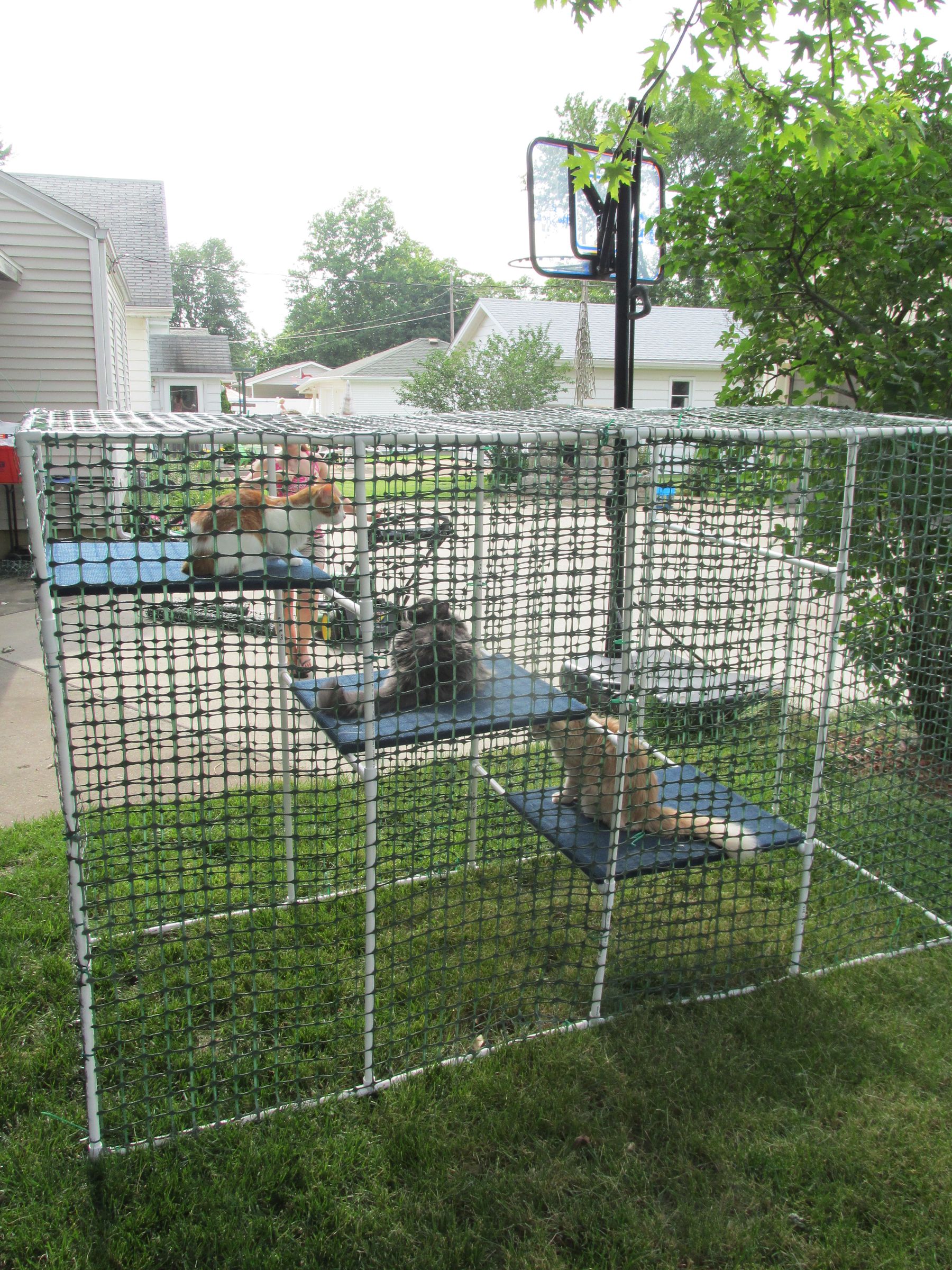 pvc cat enclosure