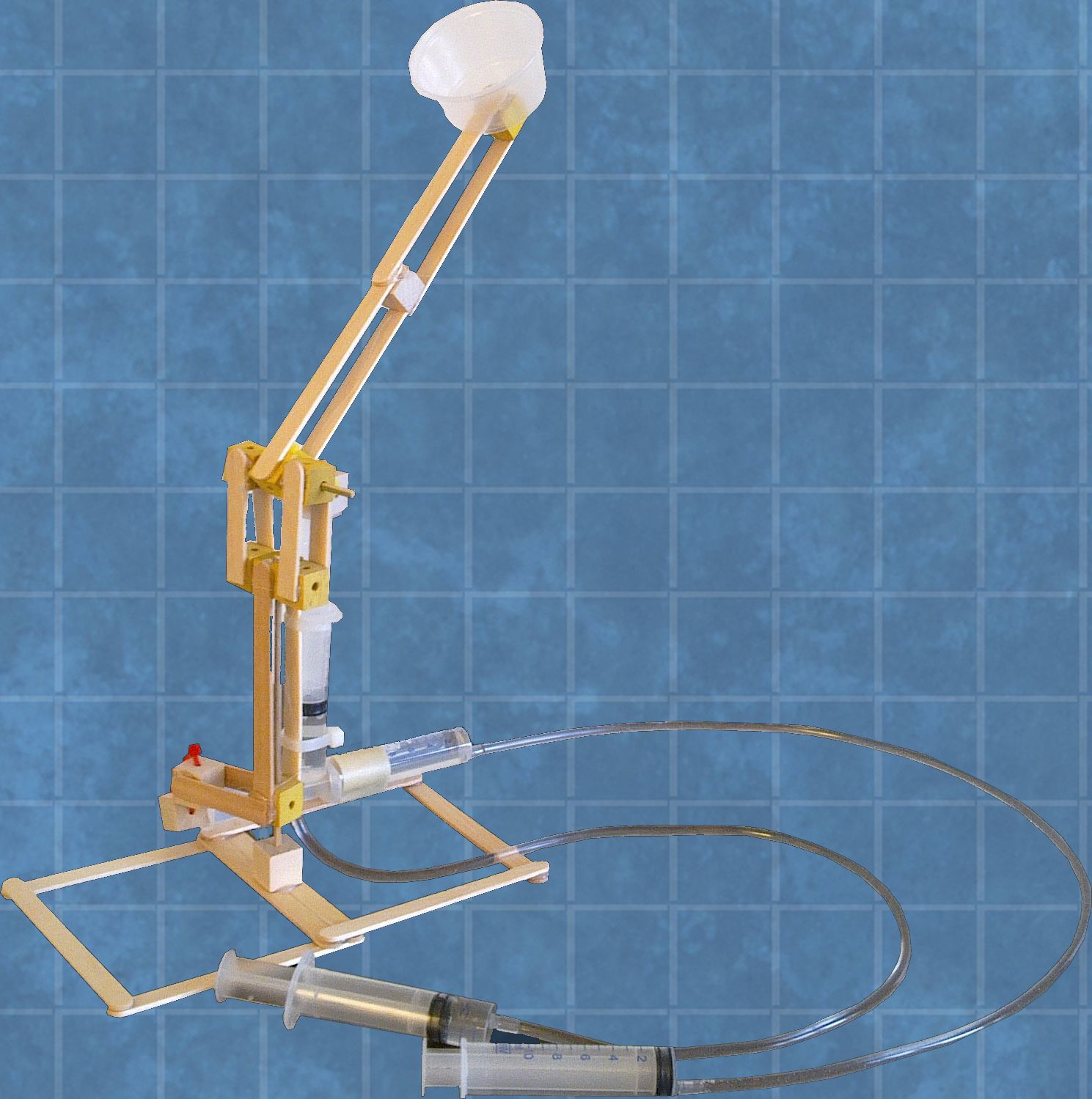 Hydraulic Judo Robots Exciting STEM Project for Kids 11 Steps (with