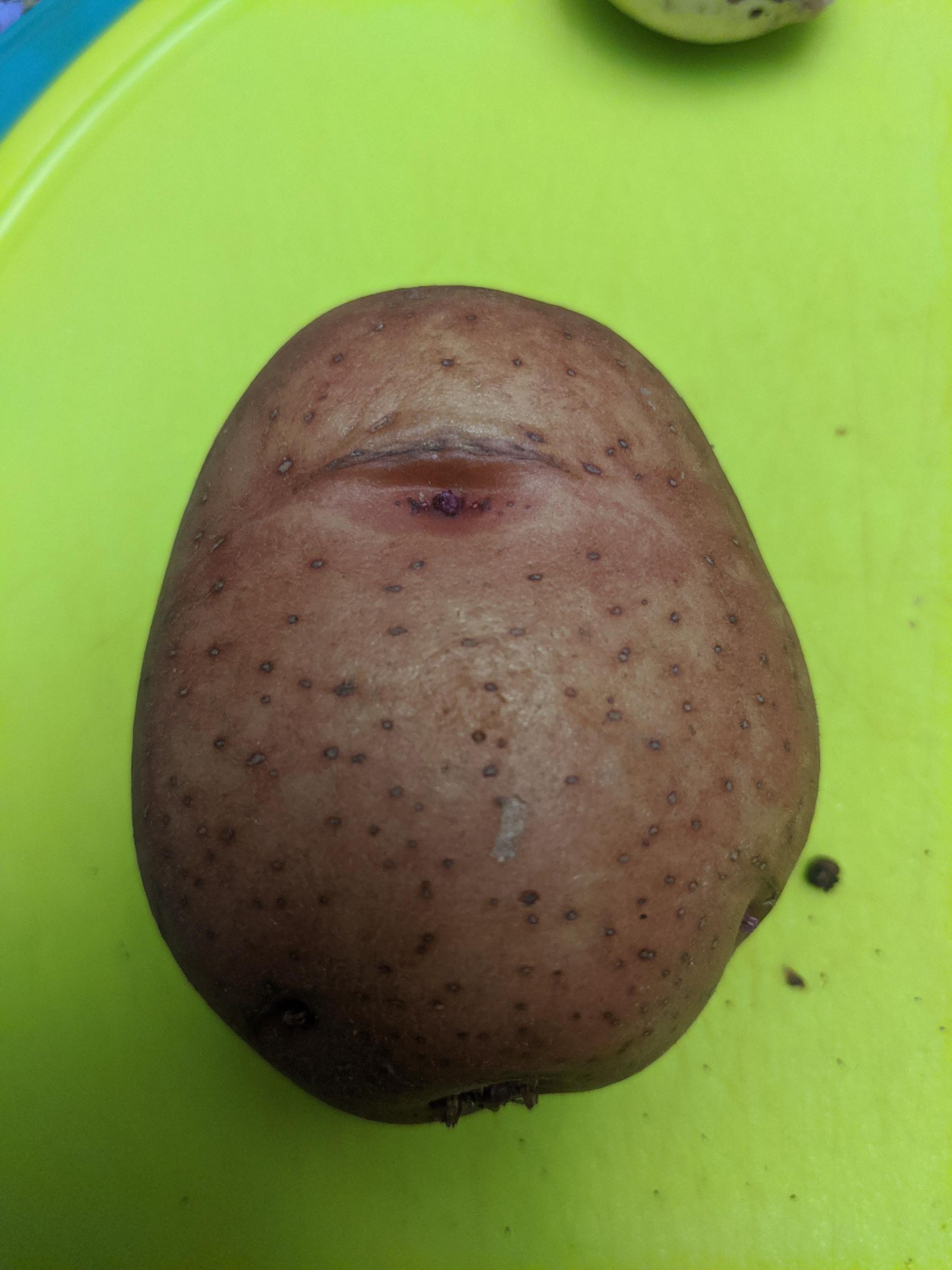 Feelings Vegetables 5 Steps Instructables