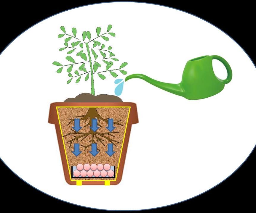 Subterranean Water Reservoir Planter 5 Steps (with Pictures