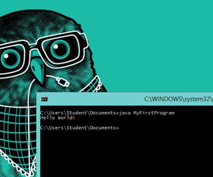 how to write first java program DIY Project to Discover - FindingDIY