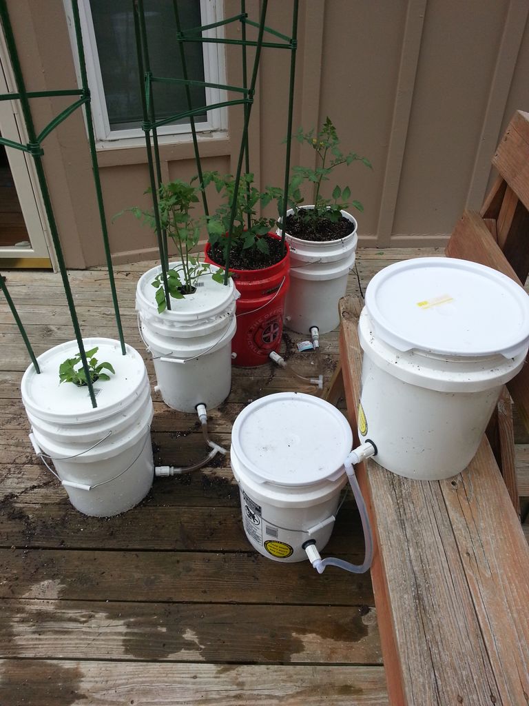 How to Build a 5 Gallon Self Wicking Tomato Watering Container (with Pictures) Instructables
