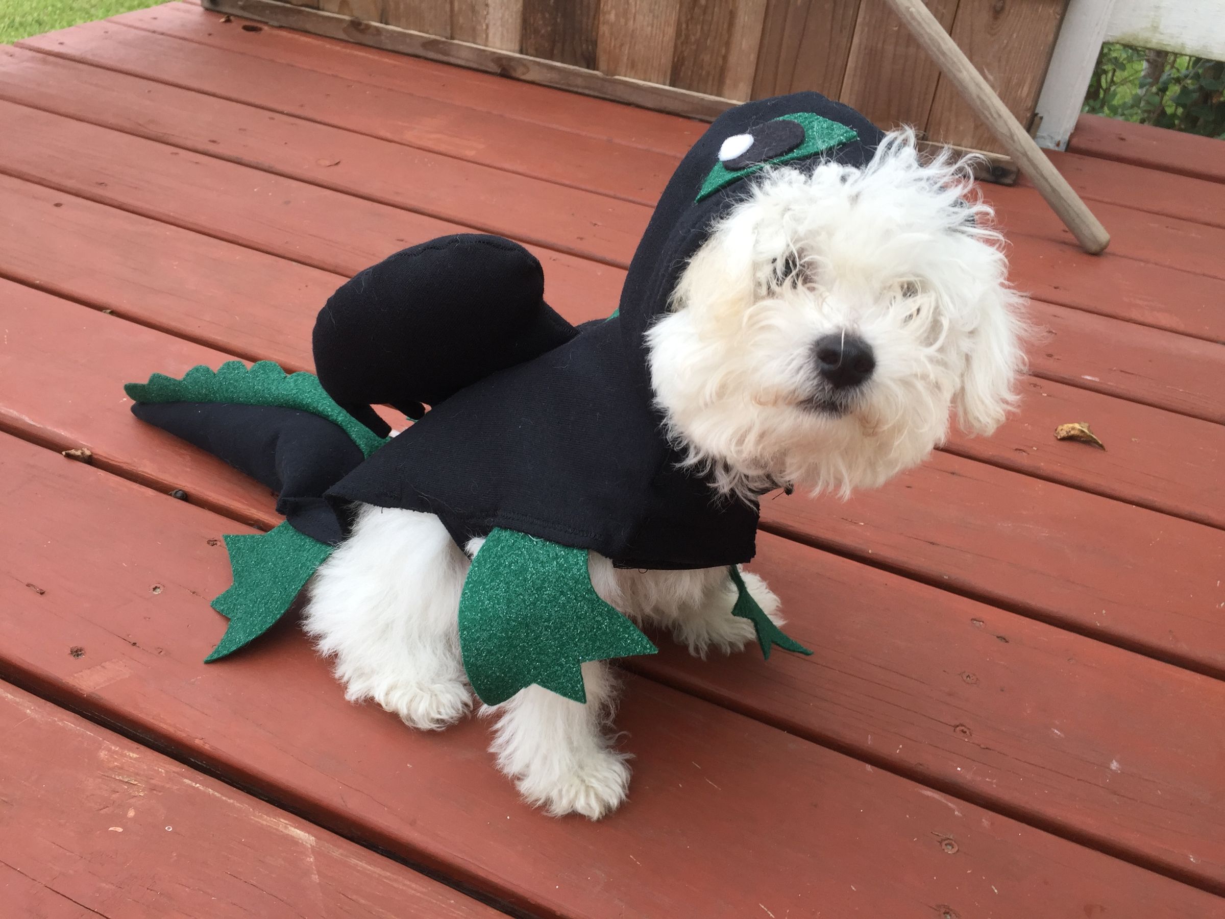 Dragon Dog Costume 7 Steps (with Pictures) Instructables