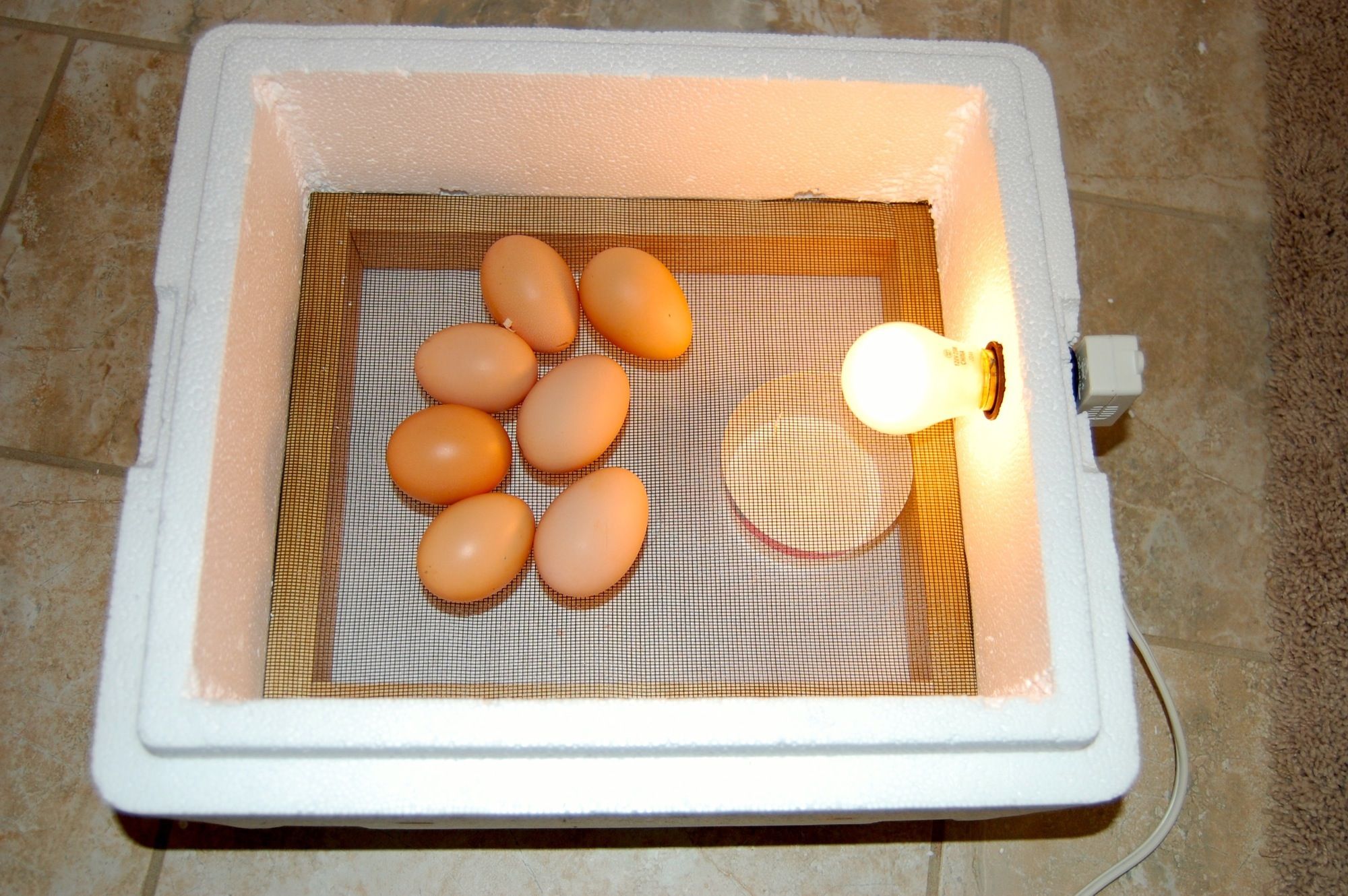 The 3 30 Minute Egg Incubator 8 Steps With Pictures Instructables