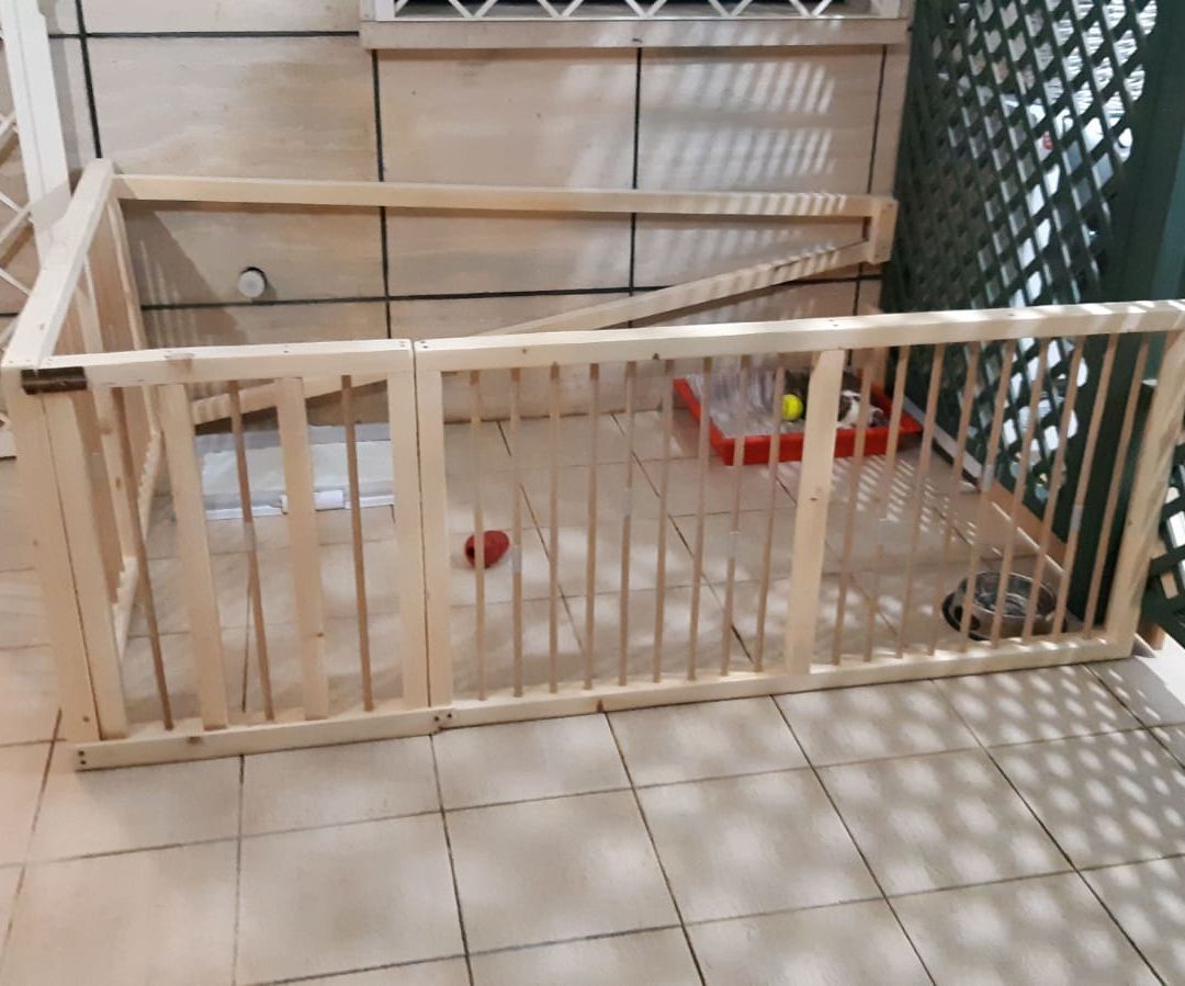 Dog Wooden Fence