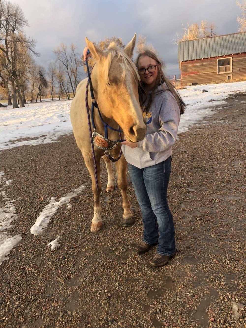 How to Properly Halter a Horse Introduction 5 Steps (with Pictures