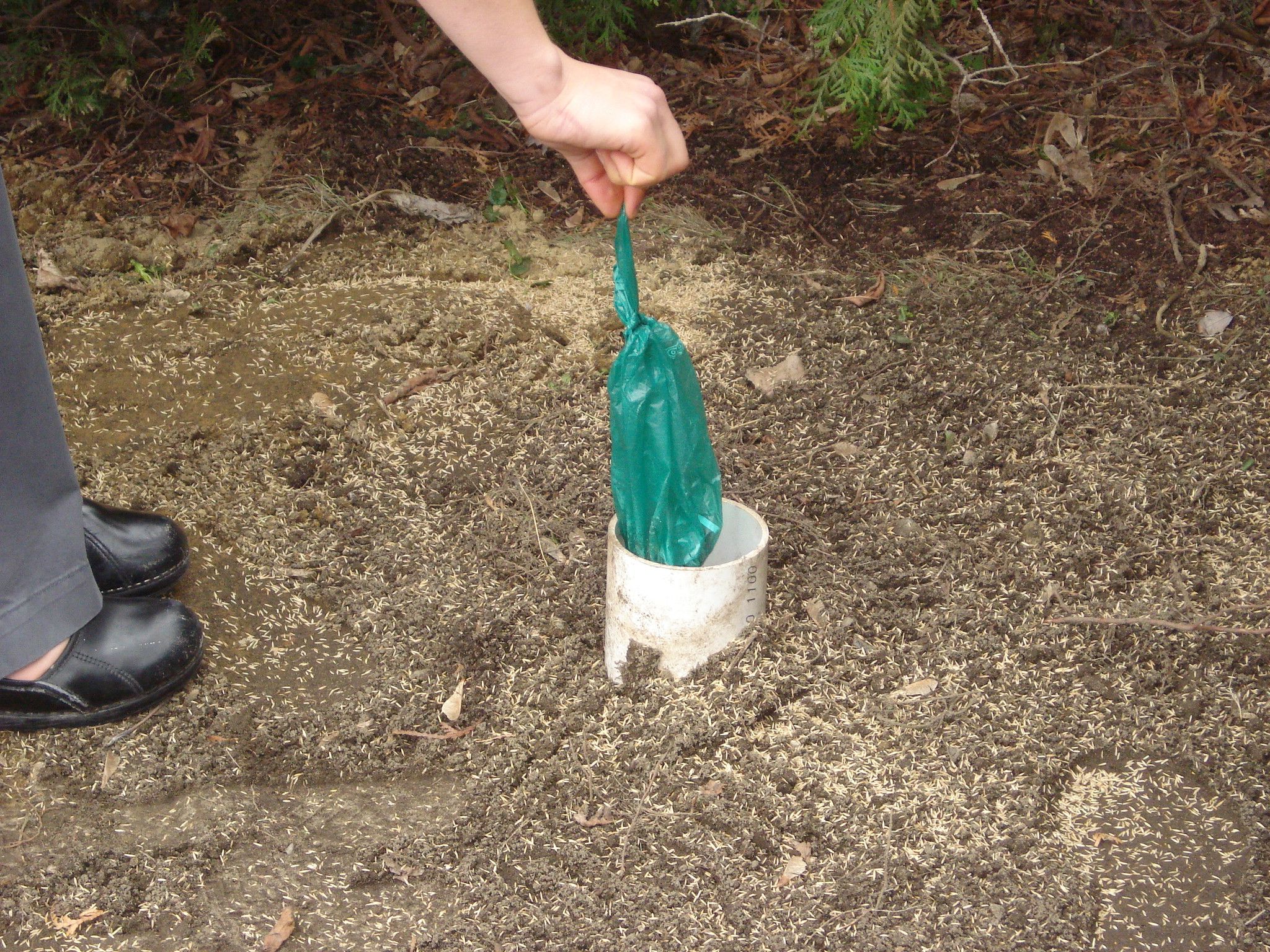 How Do You Compost A Dog Poo