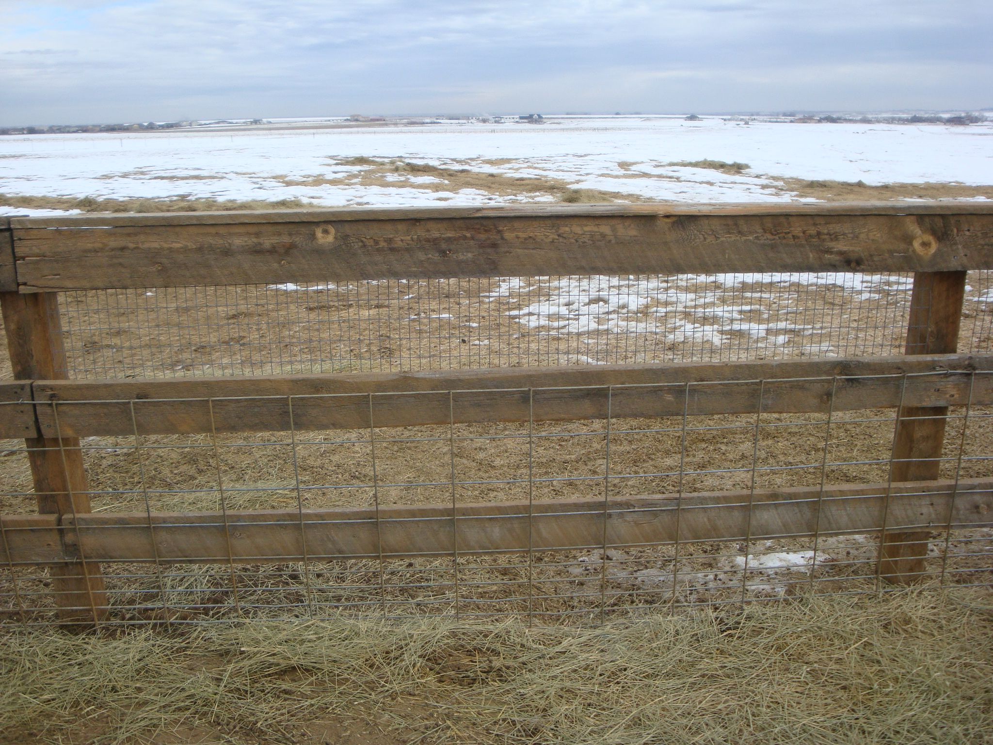 How to Care for Fainting Goats 5 Steps Instructables