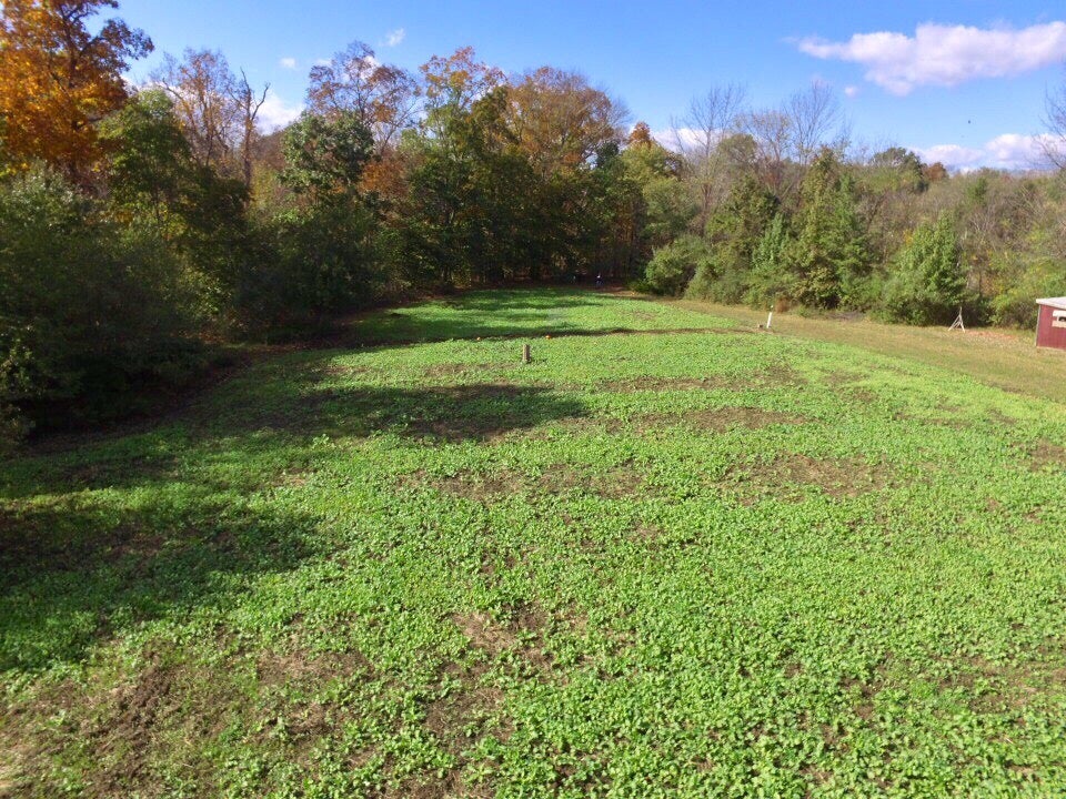 Clover Food Plot for Deer 6 Steps (with Pictures) Instructables