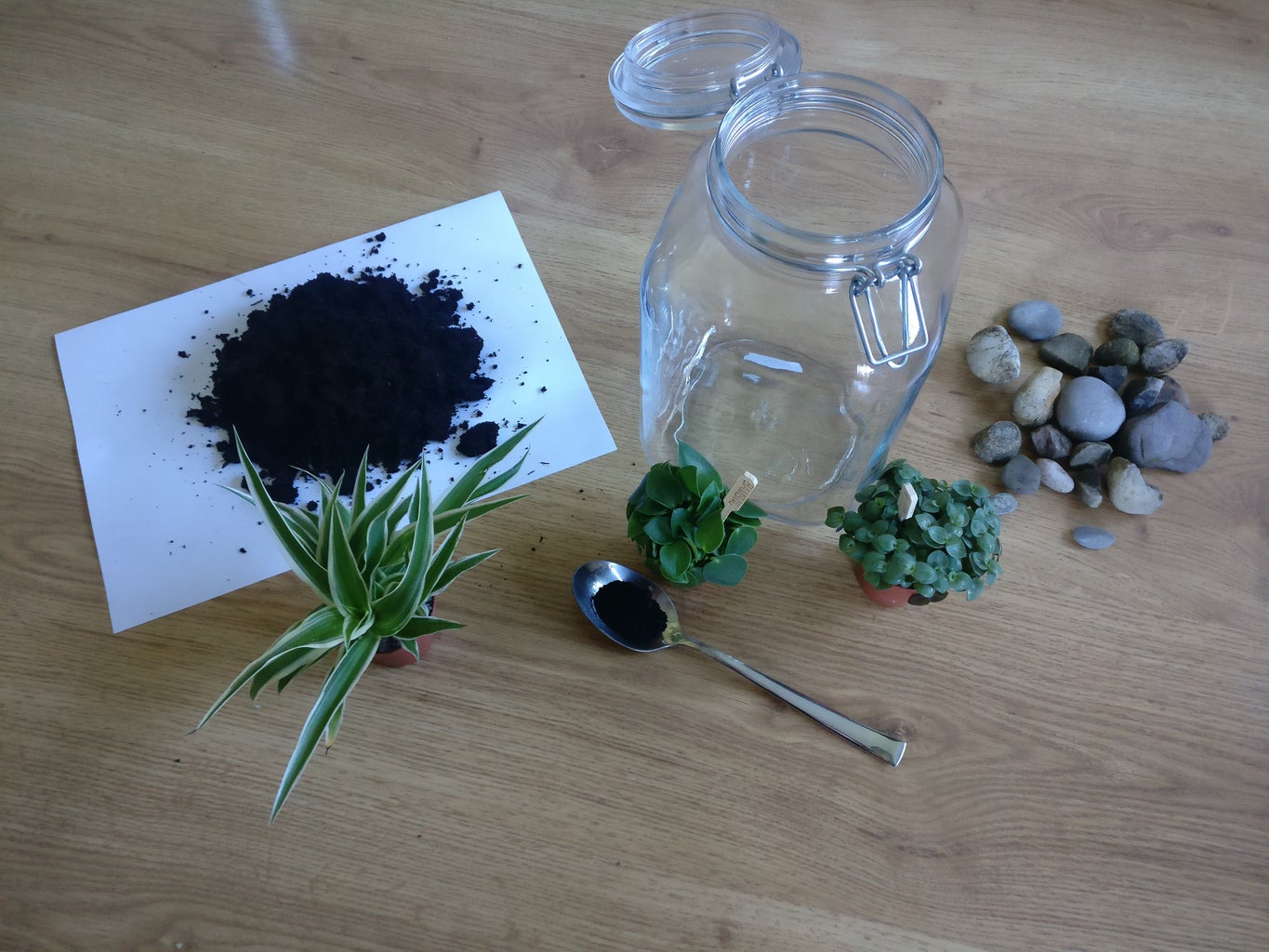 Do It Your-Self Sustaining Ecosystem- : 6 Steps (With Pictures) -  Instructables