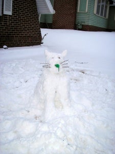 How To Make A Snow Cat. : 7 Steps - Instructables