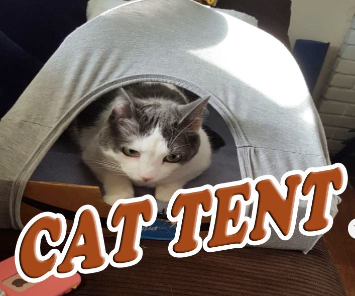 Cat Tent From Repurposed Materials 6 Steps (with Pictures