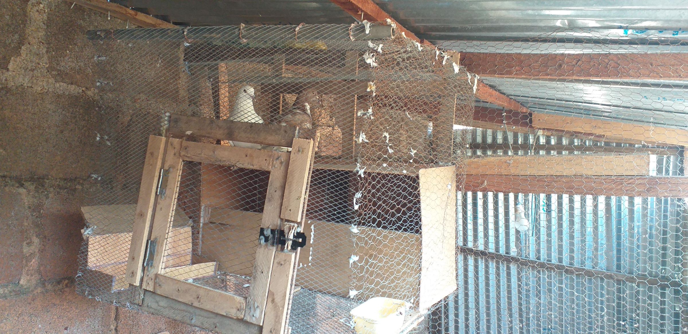 Pigeon House 8 Steps (with Pictures) Instructables