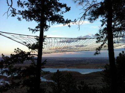 Tree Net : 5 Steps (with Pictures) - Instructables