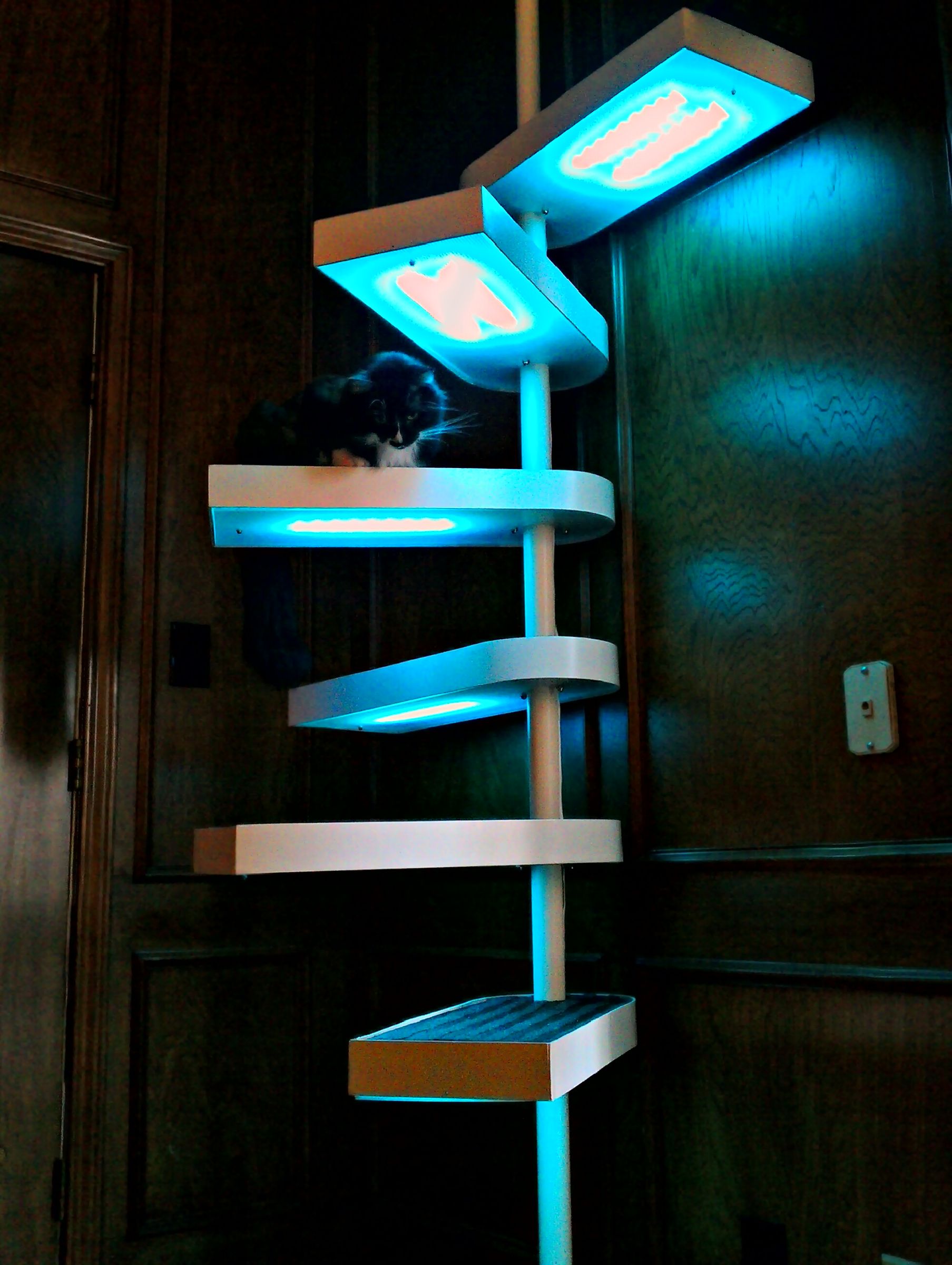 Cat Staircase Deluxe 25 Steps (with Pictures) Instructables