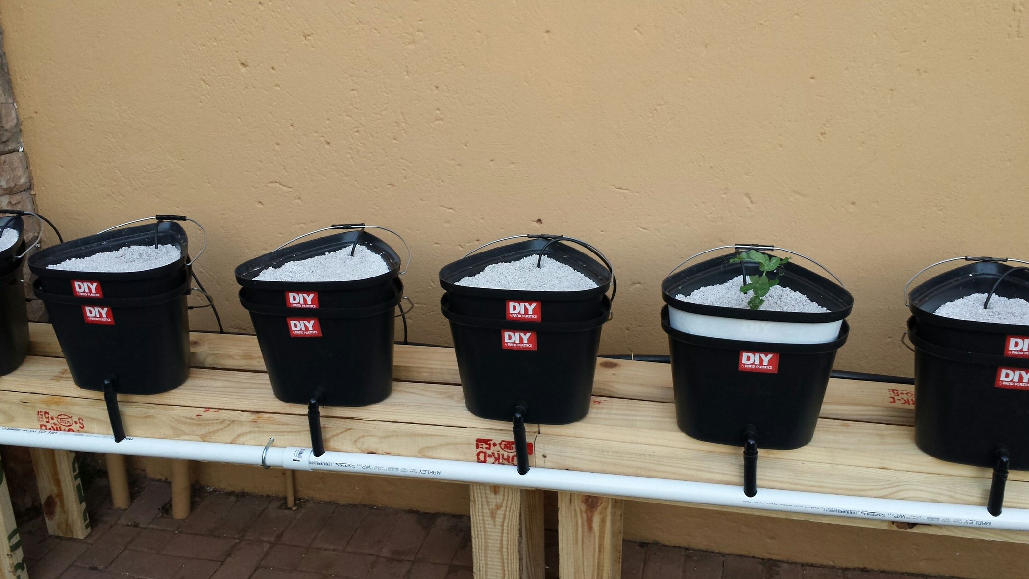 Dutch Bucket Hydroponics 8 Steps (with Pictures) Instructables