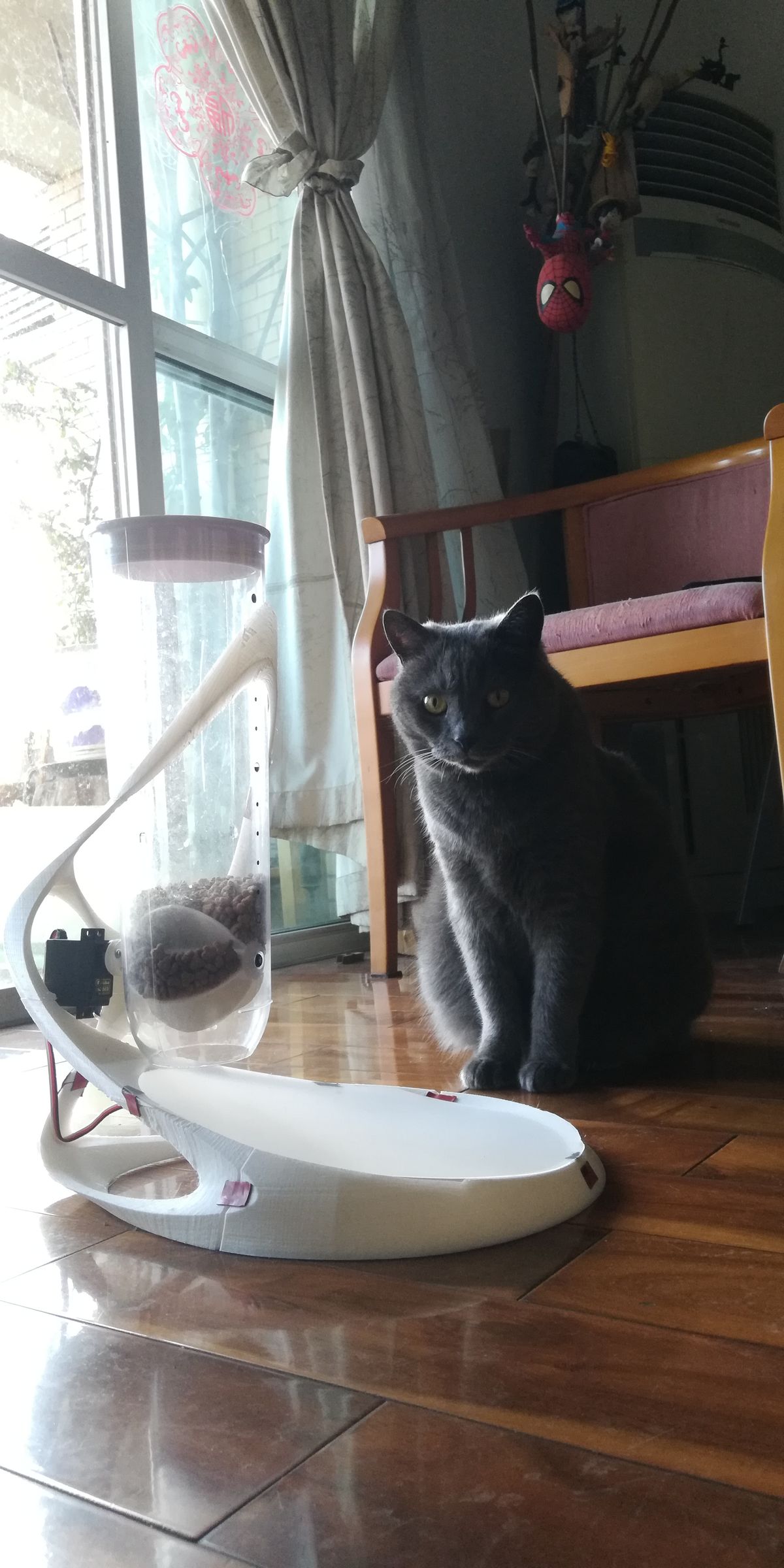 super feeder automatic cat feeder