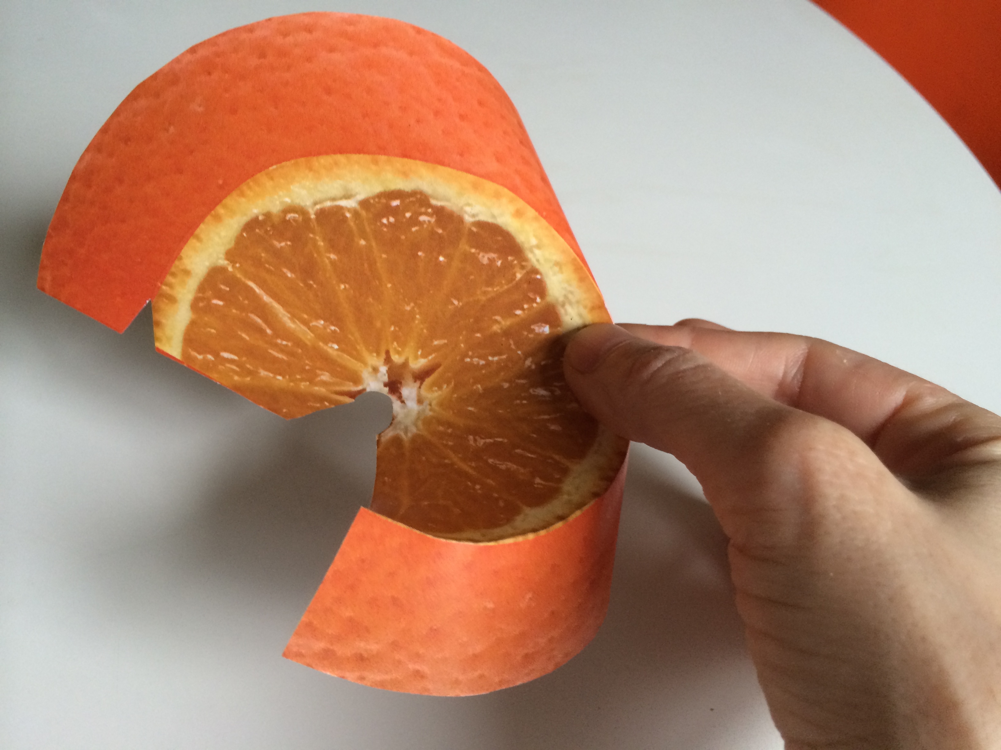 Cheap, Efficient, Easy (and Cute!) Fruit Fly Trap 3 Steps (with