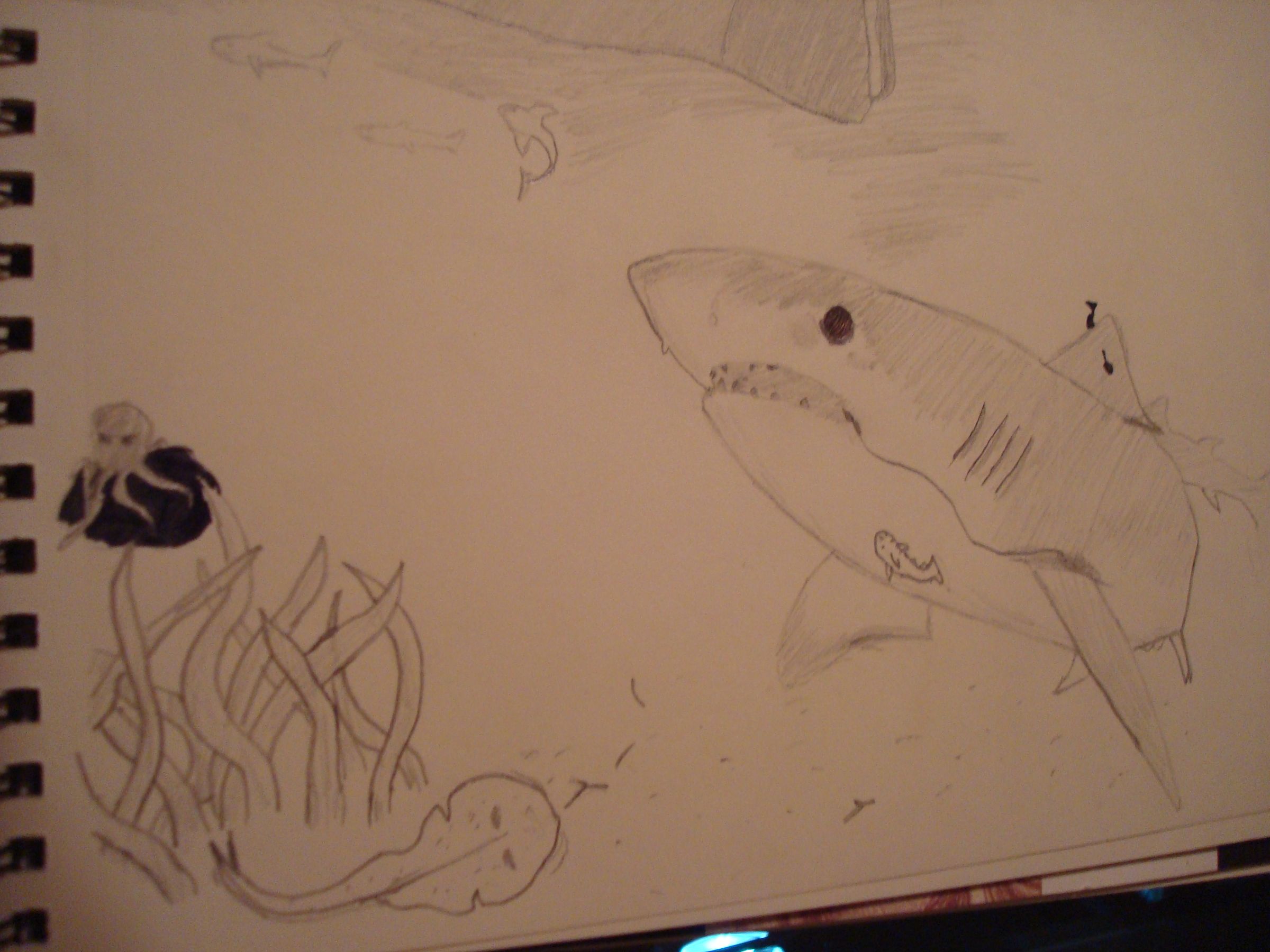 shark drawing DIY Project DIY Project Image